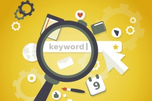 What is a search query?